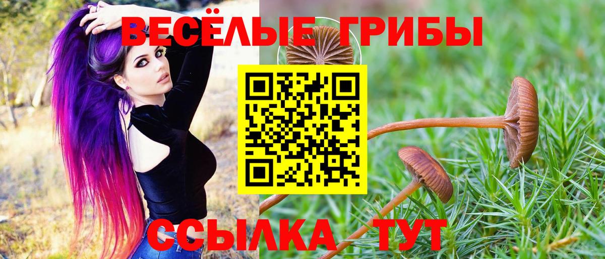 Галлюциногенные грибы мухоморы  Вход с VPN  Кольчугино 